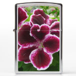Regal Geranium Flowers Elegant Maroon Floral Zippo Lighter