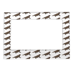 Regal horned lizard cartoon illustration magnetic frame