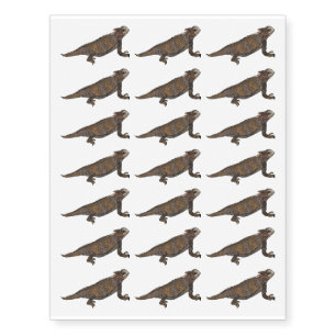 Regal horned lizard cartoon illustration  temporary tattoos