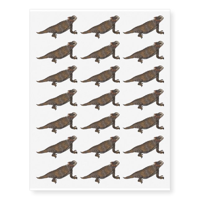 Regal horned lizard cartoon illustration  temporary tattoos (Front)