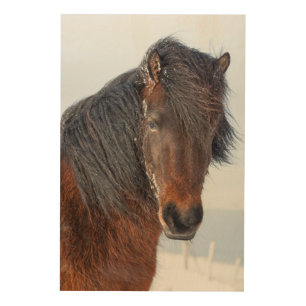 Regal Icelandic Horse Headshot Wood Wall Art