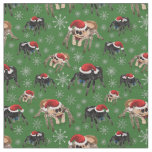 Regal Jumping Spider Phiddipus Regius Holiday Moss Fabric