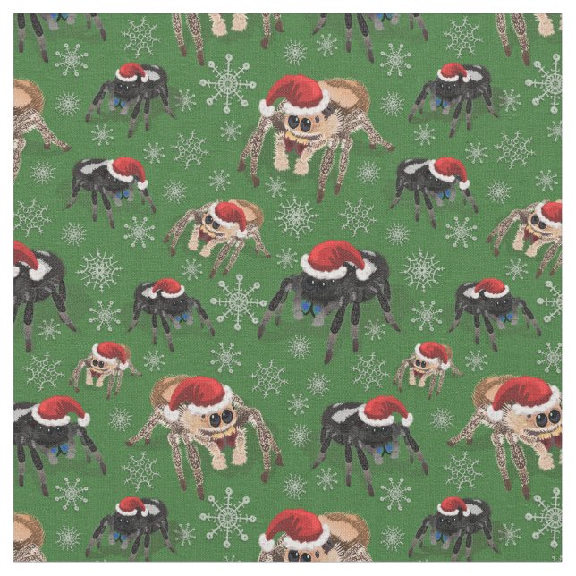 Regal Jumping Spider Phiddipus Regius Holiday Moss Fabric (Close Up)