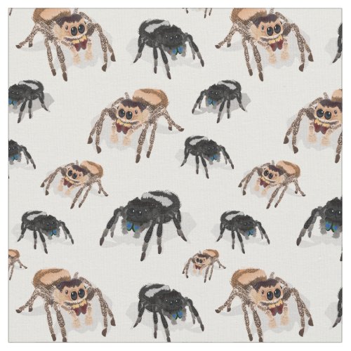 Regal Jumping Spider Phiddipus Regius White Fabric