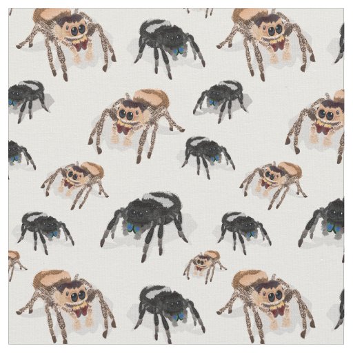 Regal Jumping Spider Phiddipus Regius White Fabric