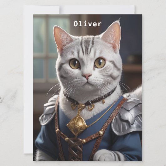 Regal Knight American Shorthair Cat Majestic  (Front)