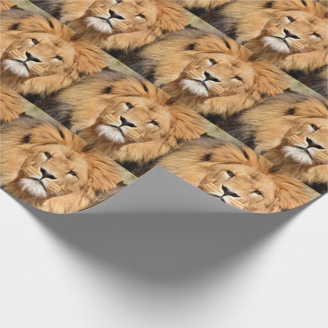 Regal Lion Majestic Beautiful Animal   Wrapping Paper (Corner)