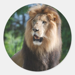 Regal Lion Sticker