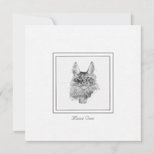 Regal Maine Coon Cat Sketched in Black and White Note Card