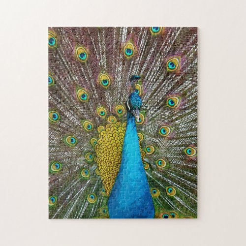 Regal Peacock Bird with Proud Tail Feather Display Jigsaw Puzzle