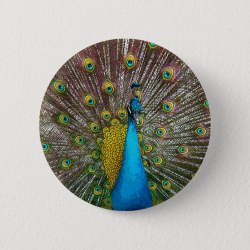 Regal Peacock Bird with Teal and Gold Plumage Button