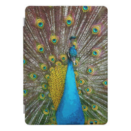 Regal Peacock Bird with Teal and Gold Plumage iPad Pro Cover