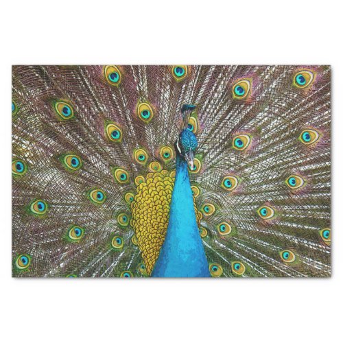 Regal Peacock Bird with Teal and Gold Plumage Tissue Paper