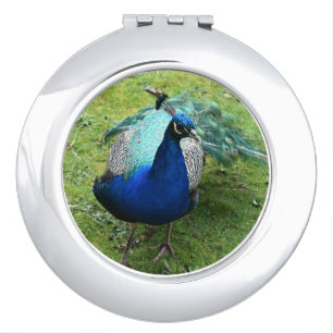 Regal Peacock Power Compact Mirror