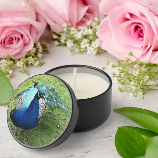 Regal Peacock Power Mini Candle Favors (Insitu (Wedding))