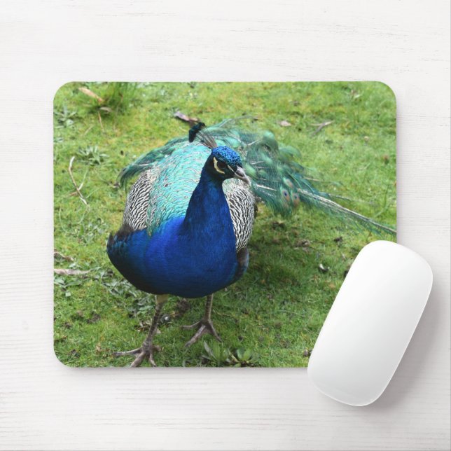 Regal Peacock Power Mouse Pad (With Mouse)