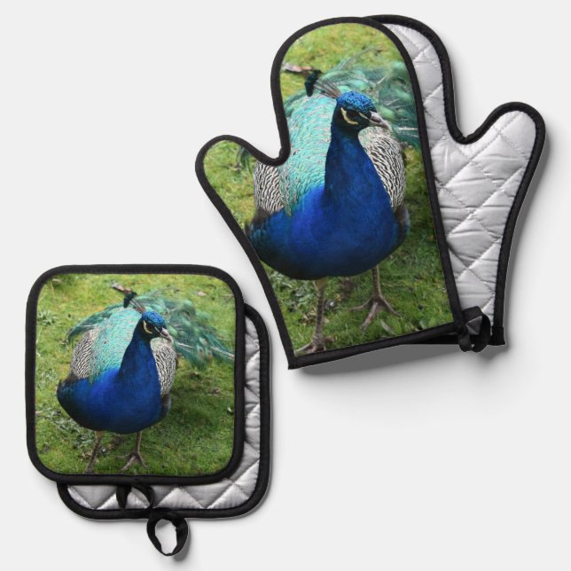 Regal Peacock Power Oven Mitt & Pot Holder Set (Front/Back)