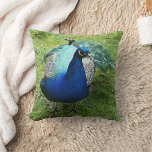 Regal Peacock Power Throw Pillow