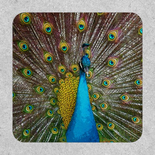 Regal Peacock with Teal and Gold Tail Feathers Patch