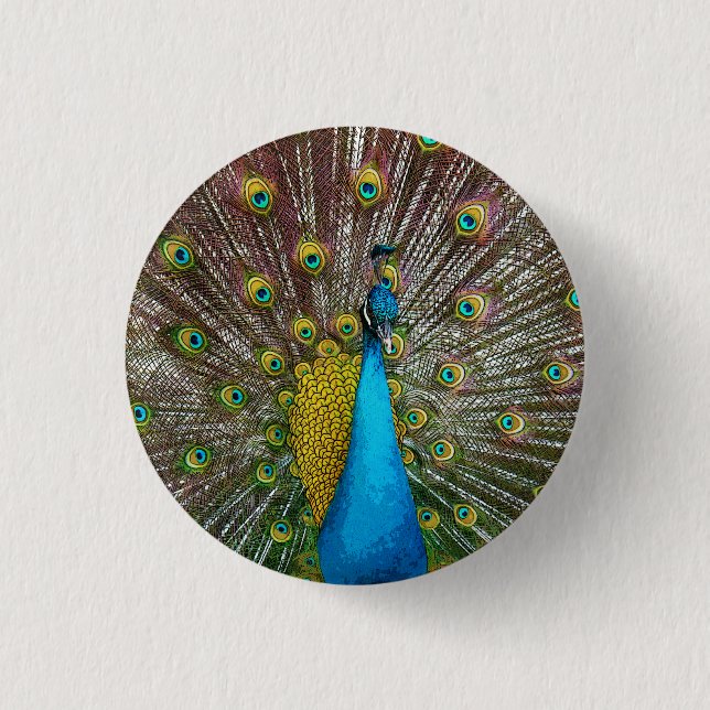 Regal Peacock with Teal and Gold Tail Feathers Pinback Button (Front)