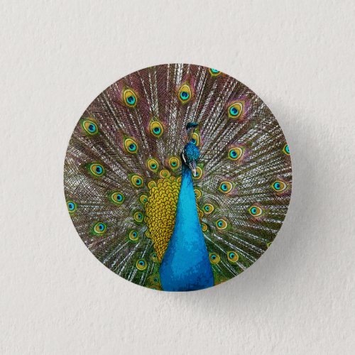 Regal Peacock with Teal and Gold Tail Feathers Pinback Button