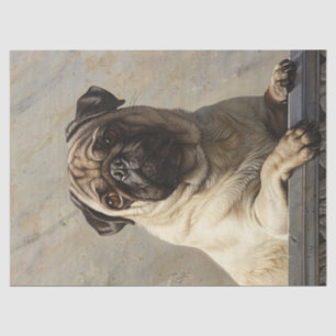 Regal Pug Decoupage Tissue Paper