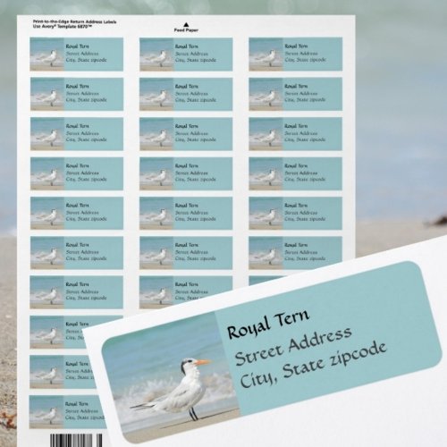 Regal Royal Tern Coastal Return Address labels