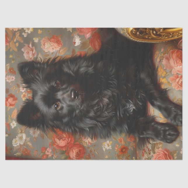 Regal Schipperke Dog Vintage Decoupage Tissue Paper (Front)
