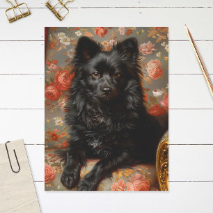 Regal Schipperke Dog Vintage Postcard