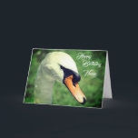 Regal Swan Nature Personalized Birthday  Card<br><div class="desc">Elegant and regal white swan.  Animal photography by Susan.  Click on Customize to change font size,  style,  and color,  and to add or delete text.</div>