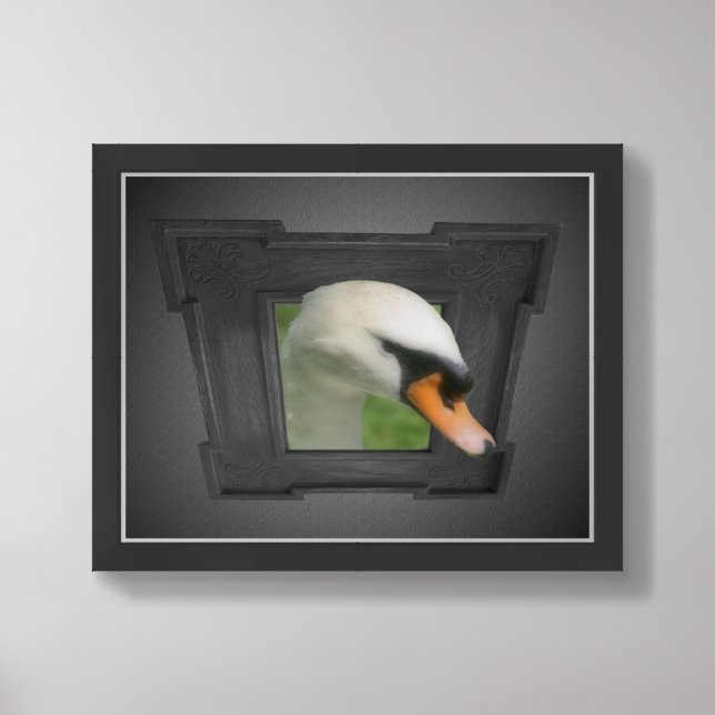 Regal Swan Out Of Frame Nature Framed Framed Art (Framed Front)