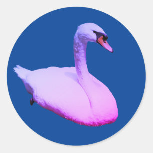 Regal Swan Wildlife Animal Tinted Classic Round Sticker