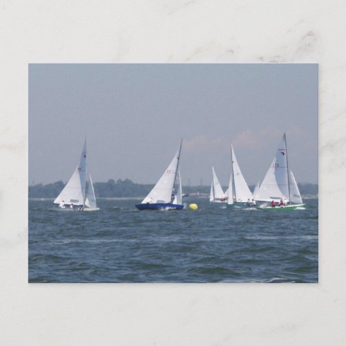 Regatta Sailing Postcard