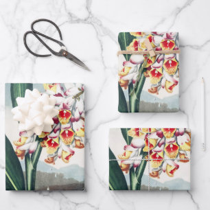 Regency Style White Yellow Exotic Floral Decor Wrapping Paper Sheets