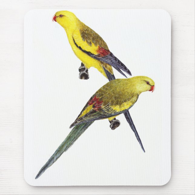 Regent Parrot Pair - Polytelis anthopeplus Mouse Pad (Front)
