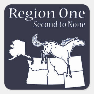 Region 1 Square Sticker