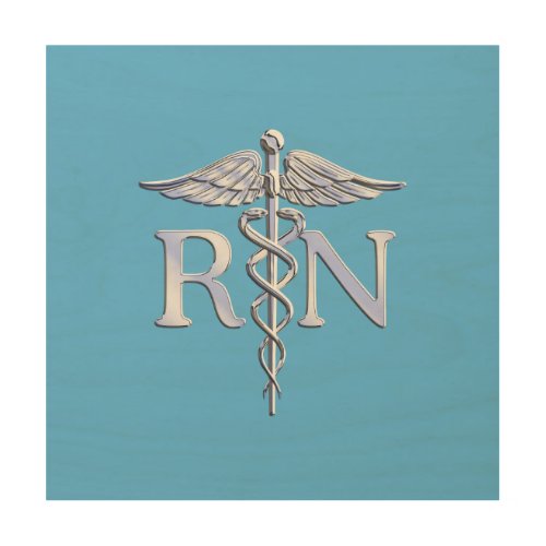 Registered Nurse RN Silver Caduceus on Baby Blue Wood Wall Decor