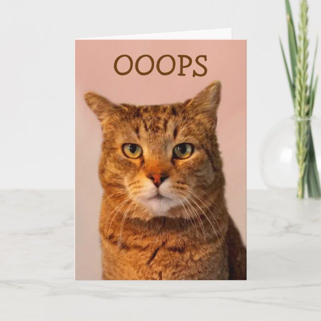 Regretful Cat Apology Card (Front)