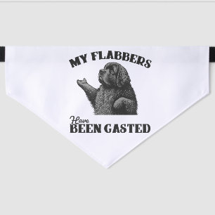Regular Shock Just Isn't Enough Flabbergasted Newf Pet Bandana Collar