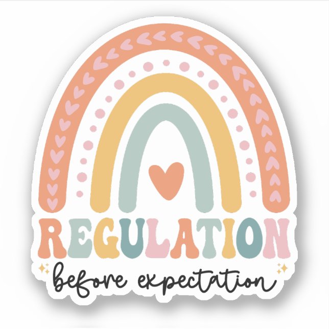 Regulation Before Expectation Autism SPED Teacher Sticker (Front)