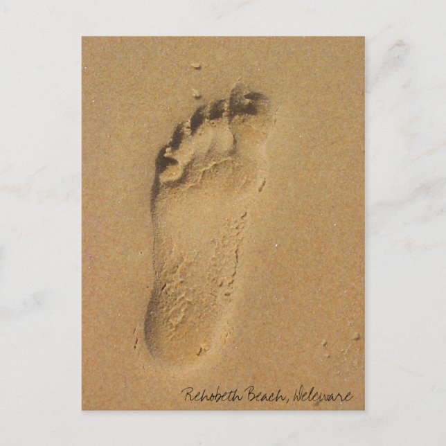 Rehobeth Beach Postcard (Front)