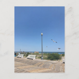 Rehoboth Beach Boardwalk Seagulls Sky Ocean Photo Postcard