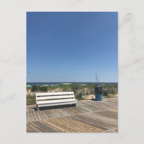 Rehoboth Beach DE Boardwalk Bench Photo Travel Postcard