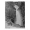 Reichenbach Falls - Sidney Paget
