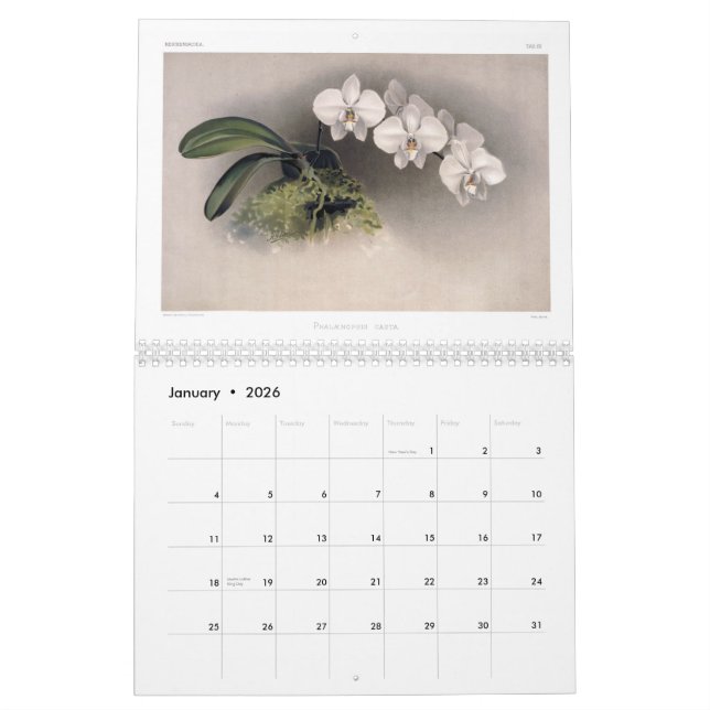 Reichenbachia Orchids 2015 Calendar (Jan 2026)