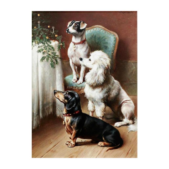 Reichert - A Christmas Treat, fine art, Acrylic Print (Front)