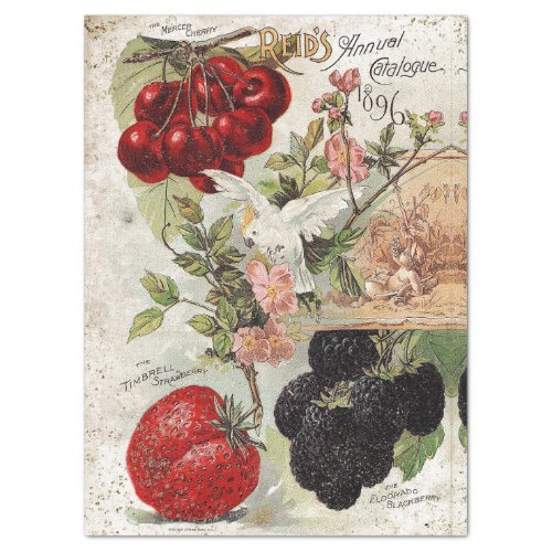 REIDS ANNUAL CHERRIES AND BERRIES 1896 TISSUE PAPER