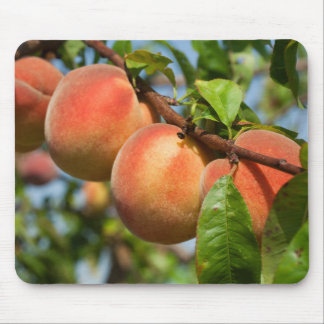 Reife Weingartenpfirsiche Mouse Pad