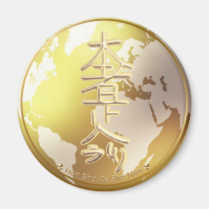 Reiki Advanced Therapist Symbol Magnet