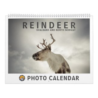 Reindeer 2023 calendar
